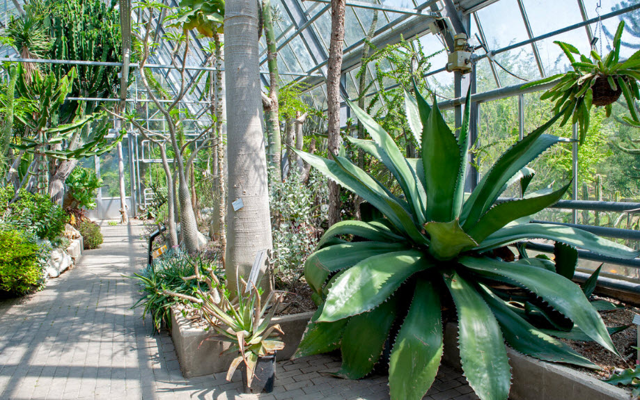 Botanic Garden, Bochum, Germany, Germany